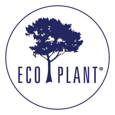 eco plant -  CUKROWY CZEKOLADOWY PEELING DO CIAŁA