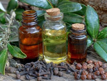 Olejki eteryczne w kosmetykach – charakterystyka, funkcja i zastosowanie 